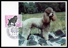 POODLE BLACK FRENCH MONACO DOG SHOW FIRST DAY COVER 1975 FDC Card Caniche Pudel 