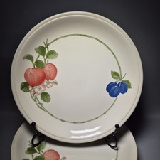 6 Dinner Plates Vintage Rare Biltons Apples Plums 9" Stoneware Dinning Set