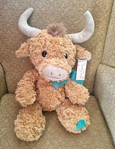 George highland cow - george,