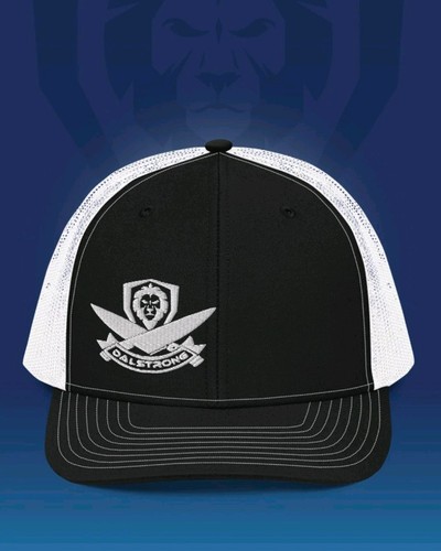 Dalstrong chef logo trucker - chef,