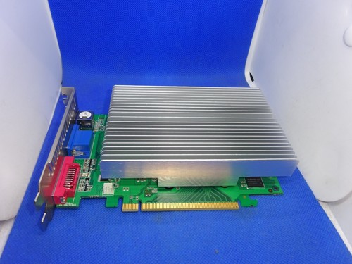 Xpertvision geforce 8500gt - xpertvision,