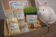 Rabbit Treat & Enrichment Box