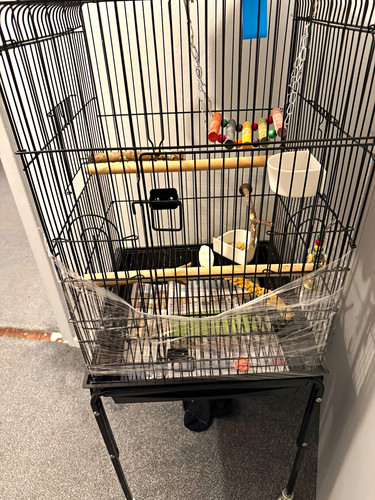 Black metal bird - metal, cage
