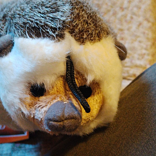 Fluff tuff small - &, plush