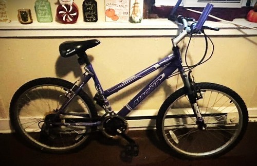 Purple magna mountain bicycle - magna,