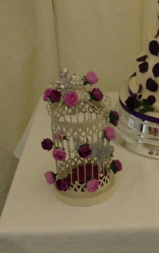 Bird cage centrepiece - cage,