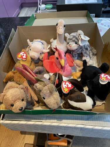 Beanie babies bundle - ty,