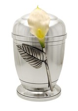 Ashes Large Cremation Urn