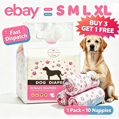 Hficy disposable dog - disposable, nappies