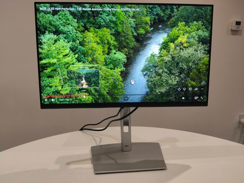 Dell p2422h ips monitor - 24”,