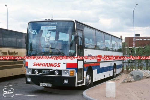 Coach photo shearings - coach,