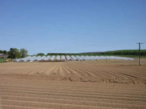 Photo 6x4 new polytunnels - 6x4,