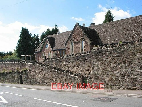 Photo day nursery hawker - photo,