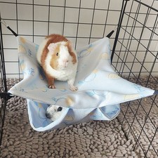 Hamster Guinea Pig Rat Hammock