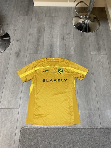 Norwich city match - norwich,