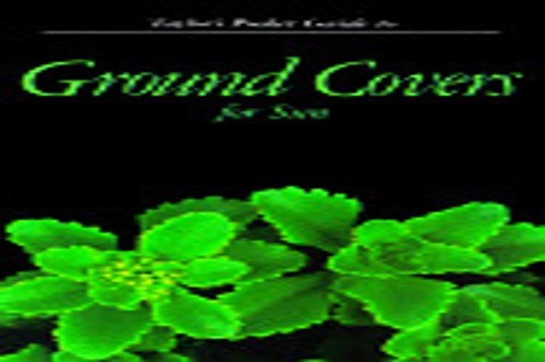 Pocket guide ground covers - guide,