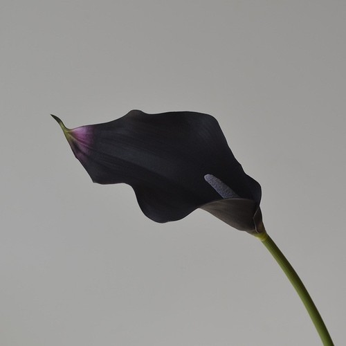 Calla lily artificial - calla,