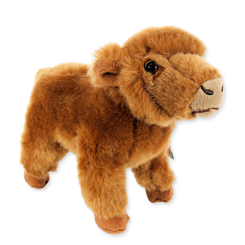 Faithful friends highland calf - friends,
