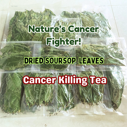Dried soursop leaves - dried,