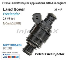 Petrol Fuel Injector