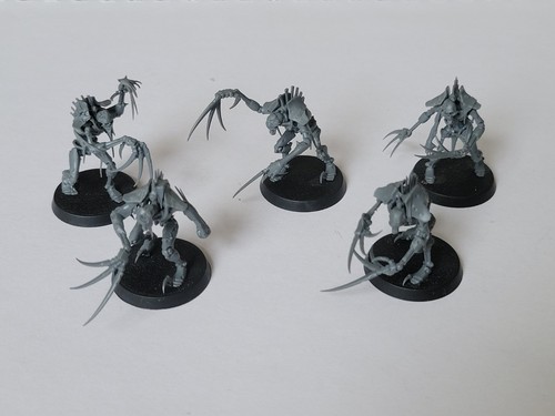 Warhammer 40k necron flayed - 40k,