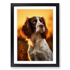 English Springer Spaniel Colour Field Framed Canvas Wall Art Print Picture