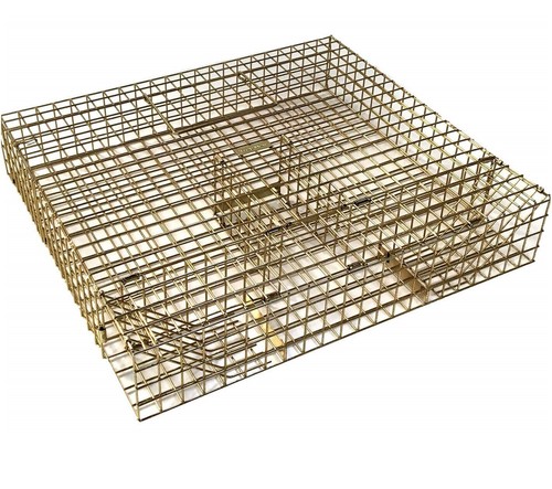 Grey squirrel multi - catch, trap
