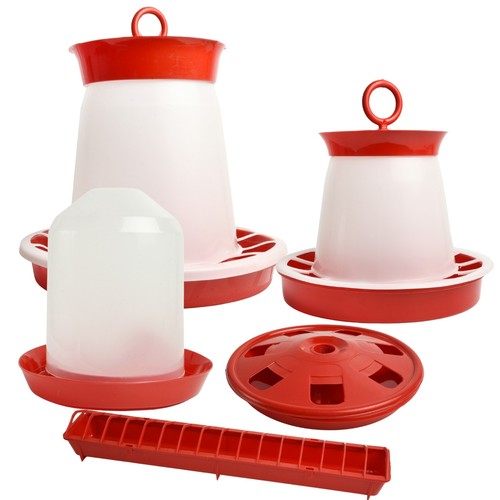 Chicken feeder drinker food - chicken,