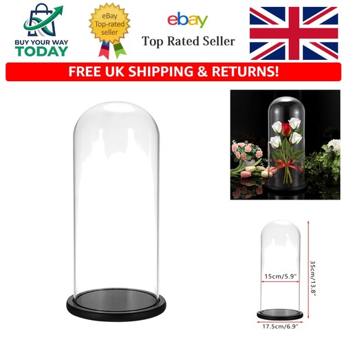 Glass tall cloche - glass, dome