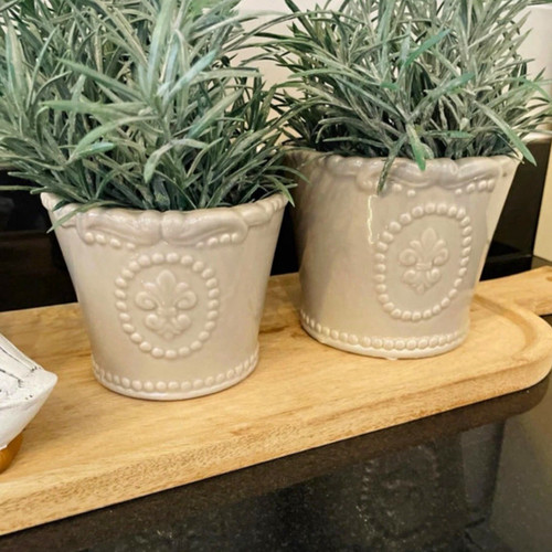 Set grey ceramic plant - grey,