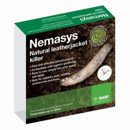 Leatherjacket nematodes 100 - leatherjacket,