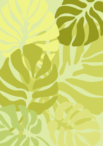 Monstera leaf large - monstera,