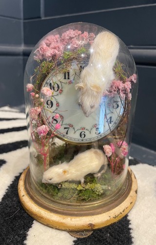 Taxidermy mice diorama - mice, under