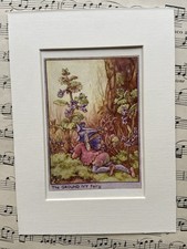 ‘Ground Ivy’ Wayside