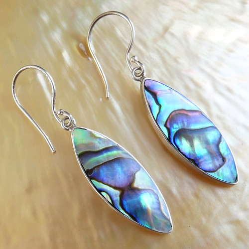 Reversible paua abalone - abalone, &