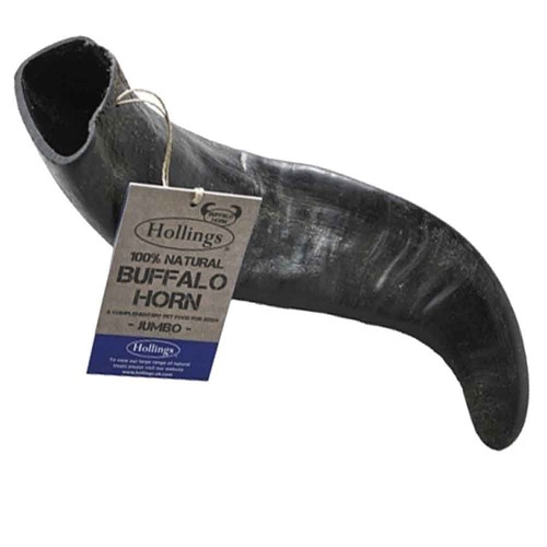 Hollings buffalo horn jumbo - horn,