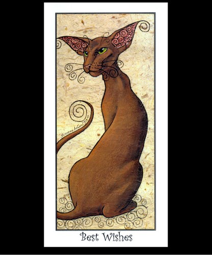 Oriental cinnamon cat - cinnamon,