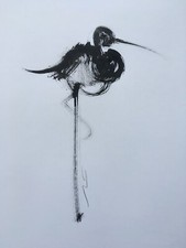 Original signed Ink sketch