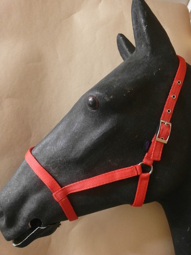 Libbys horse pony - libbys, driving