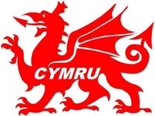 EXTRA LARGE 30" car sticker