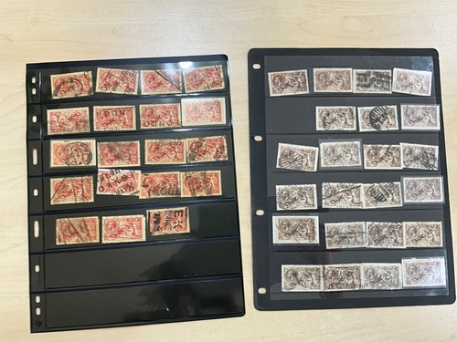 Kgv seahorse selection 70x - selection,
