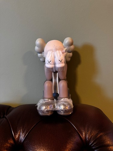 Kaws passing through companion - passing,