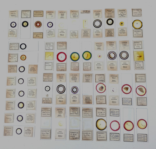 Microscope slides petrology - microscope, slides: