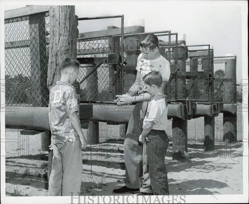 1952 press photo - photo, children