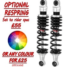 Kawasaki Z250 Z 250 250 GP