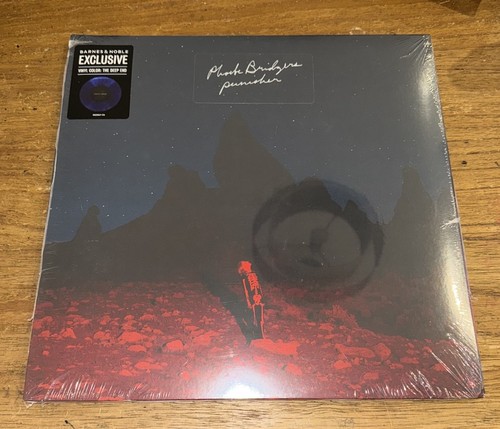 Vinyl phoebe bridgers punisher - vinyl,