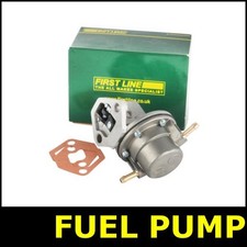 Fuel Pump Fits TALBOT SAMBA