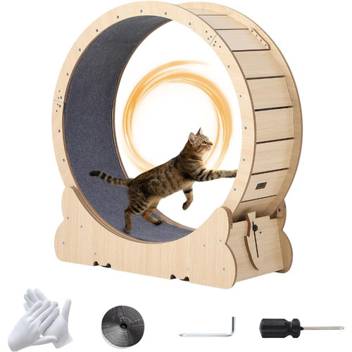 Cat exercise wheel - large,