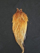 Barred Ginger Cree Rooster