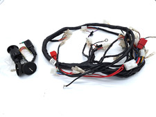 Apache 100cc quad wiring loom - apache,